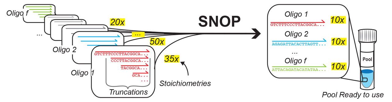 Better tools for Genomics: SNOP purified oligos. 