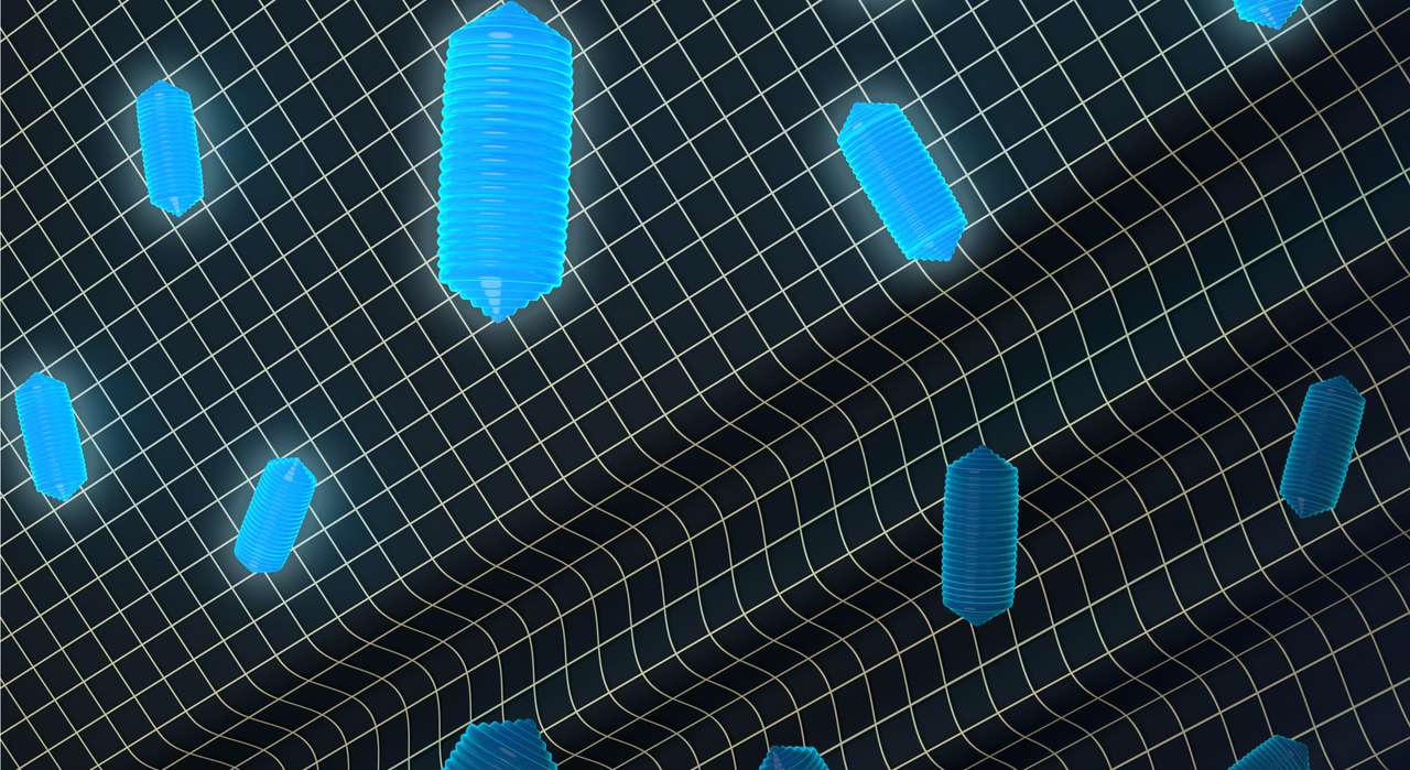 Gas-filled protein nanostructures bridge MRI and ultrasound
