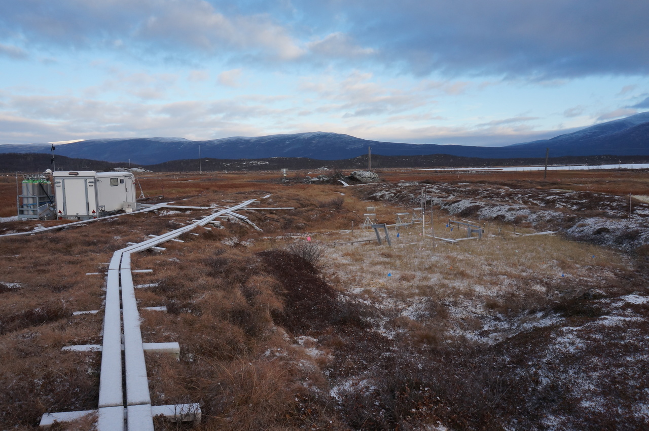 Genomic-centric view of carbon processing in thawing permafrost