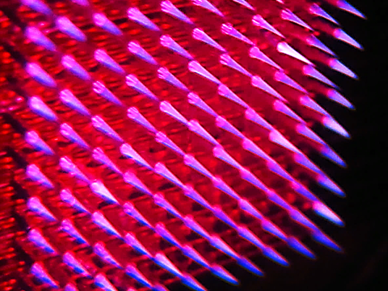 Drinking water: fighting biofilms with plasma jets