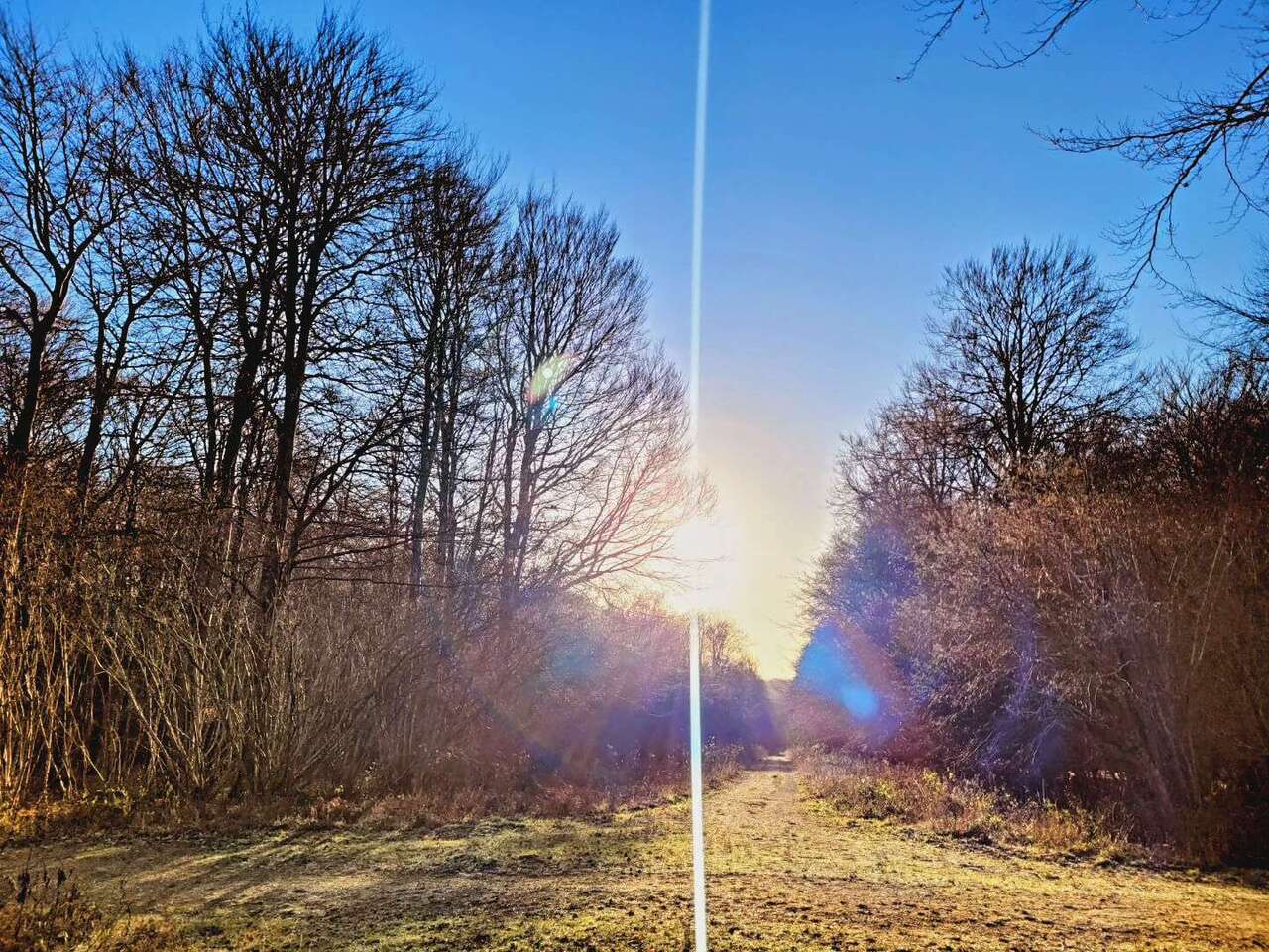 Introducing the Transdisciplinary Social Science Books Team at Springer Nature