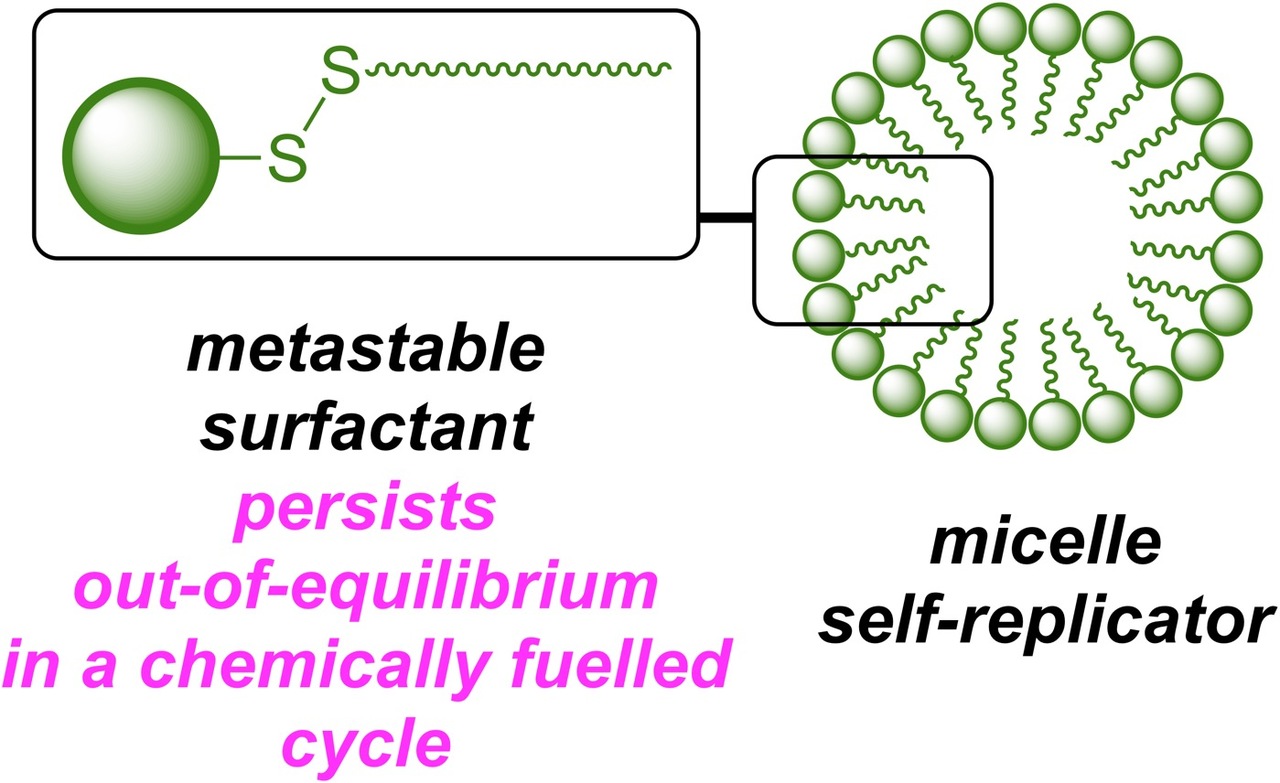A Chemically Fuelled Self-Replicator