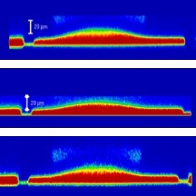 A mechanical trigger for biofilm formation