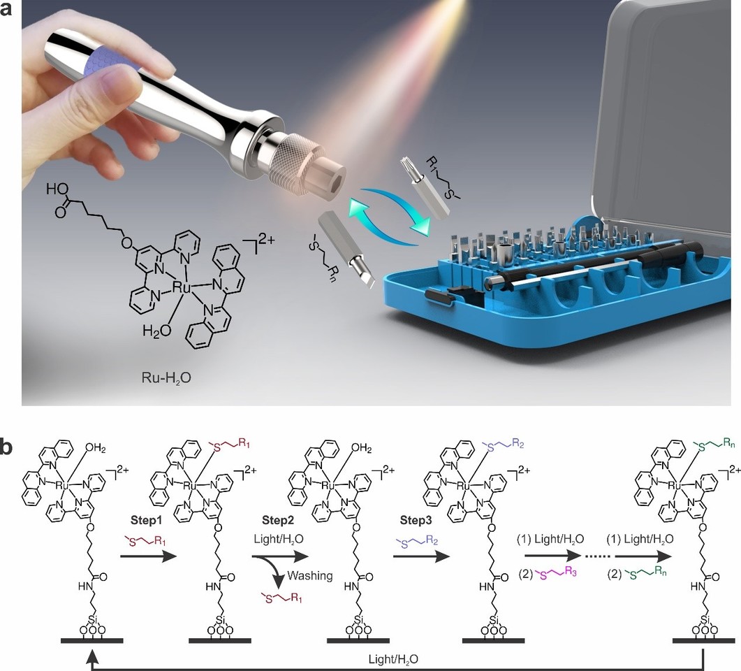 Reconfiguring surface functions using visible-light-controlled metal-ligand coordination