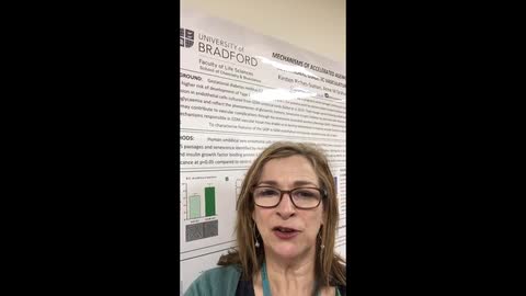 FEBS 2019 P-01-001. Gestational Diabetes, vasculature aging model 