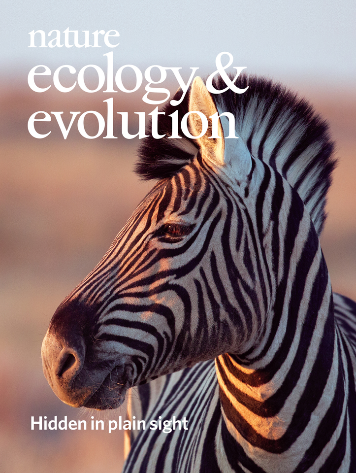 Gallery | March 2018 cover