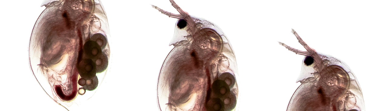 Gallery | January 2018 homepage image 2