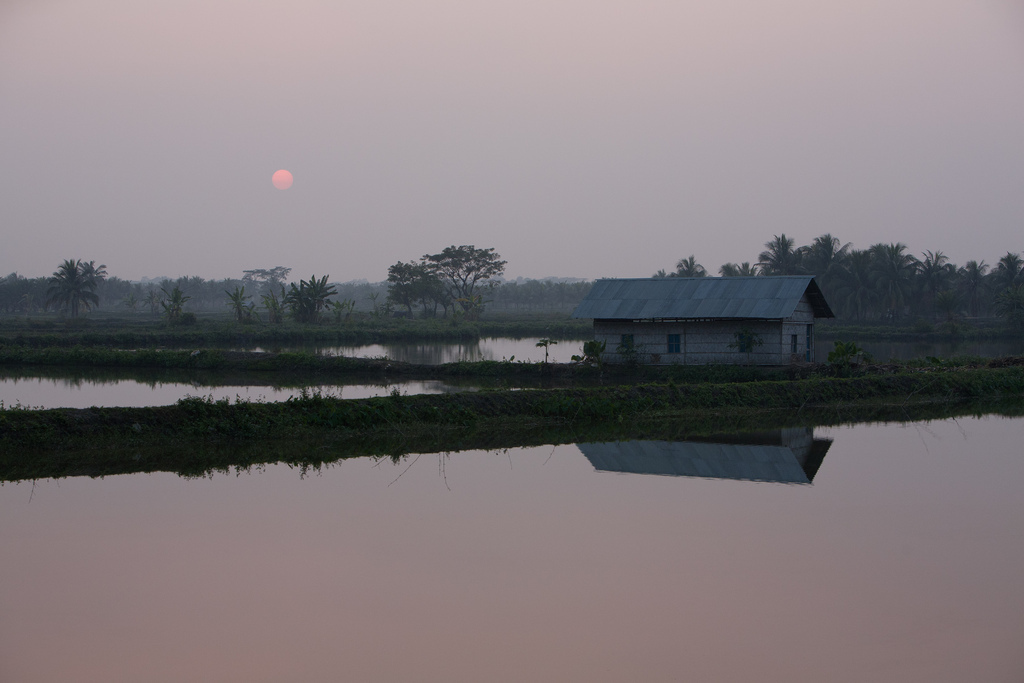 Sea level rise will likely prompt migration in Bangladesh