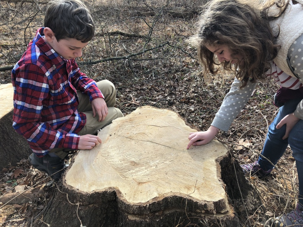 Does putting science into a lower, more powerful gear, slow progress? 