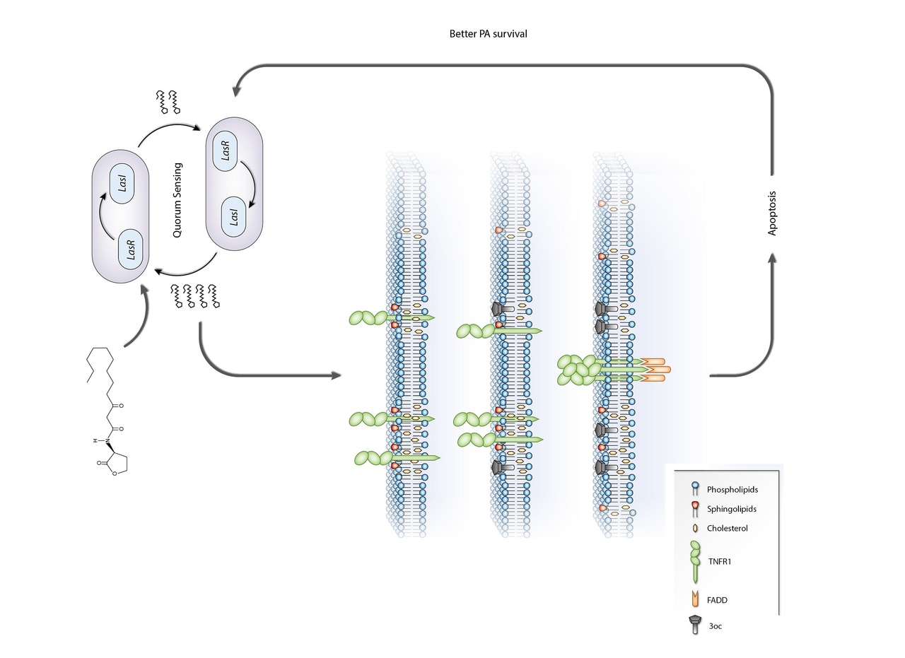 When communication skills becomes a weapon