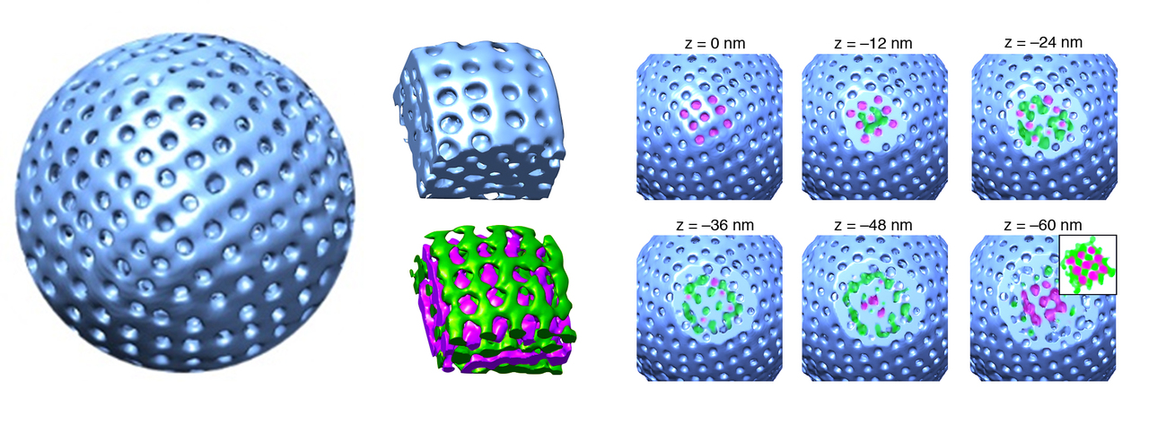 Templated synthesis of cubic crystalline single networks