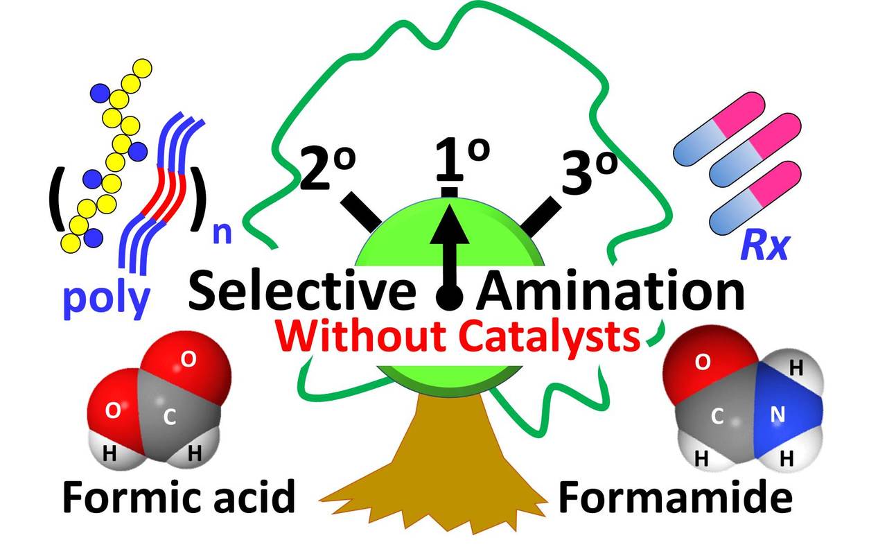 N-formyl-stabilizing quasi-catalytic species afford rapid and selective  solvent-free amination of biomass-derived feedstocks