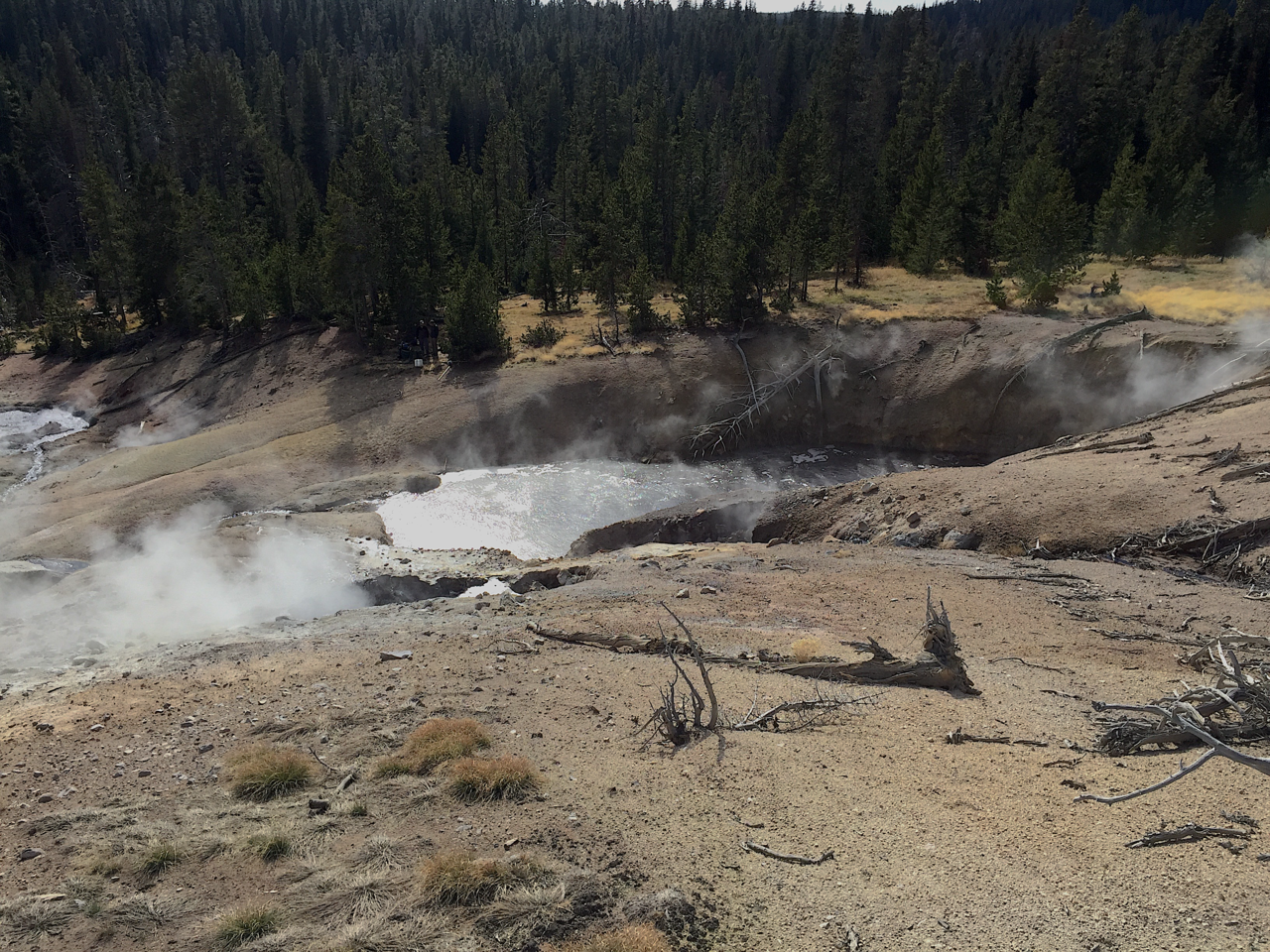 Methane and sulfur metabolisms collide in the Korarchaeota