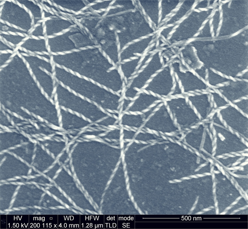 Braiding, branching and chiral amplification of nanofibres in supramolecular gels