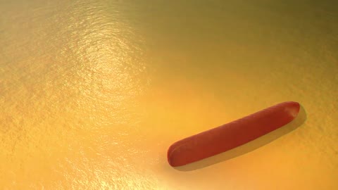 The Myxococcus xanthus motility mechanism