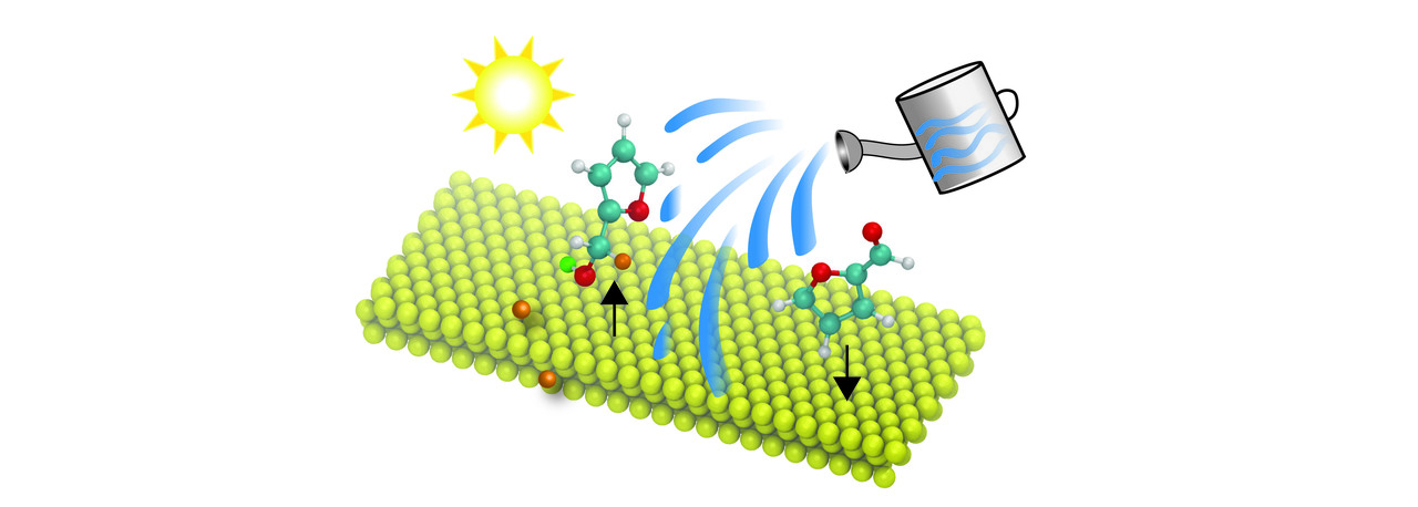 To water, or not to water: that is the question