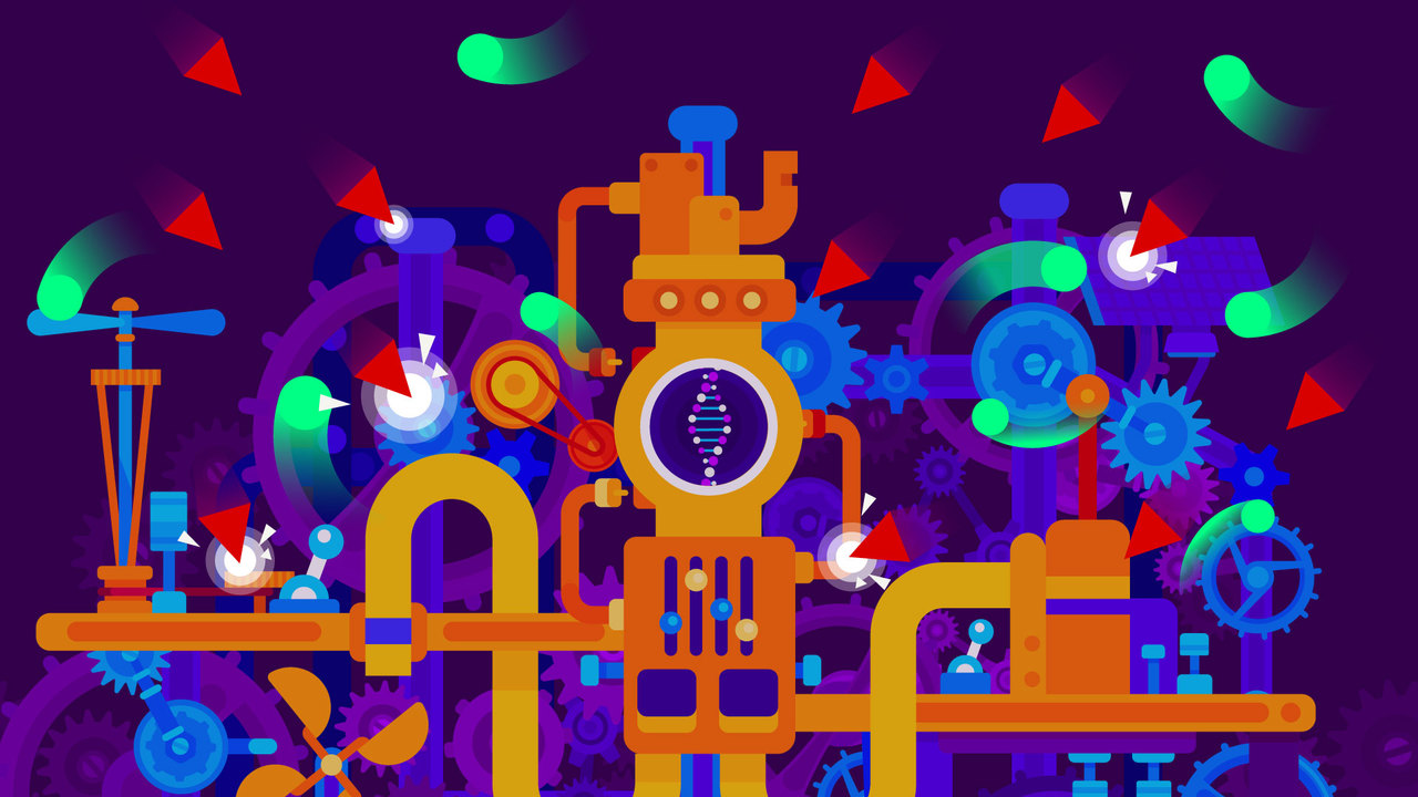 How the brain develops, grows, and learns throughout our lives