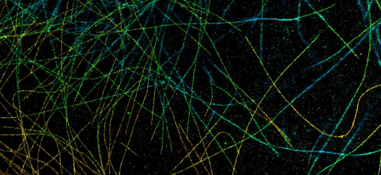 Competitive benchmarking of super-resolution microscopy software