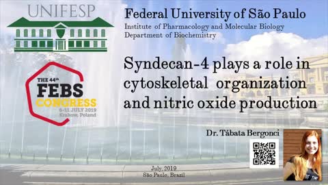 FEBS 2019 P-06-036. Syndecan-4 cell signaling pathway