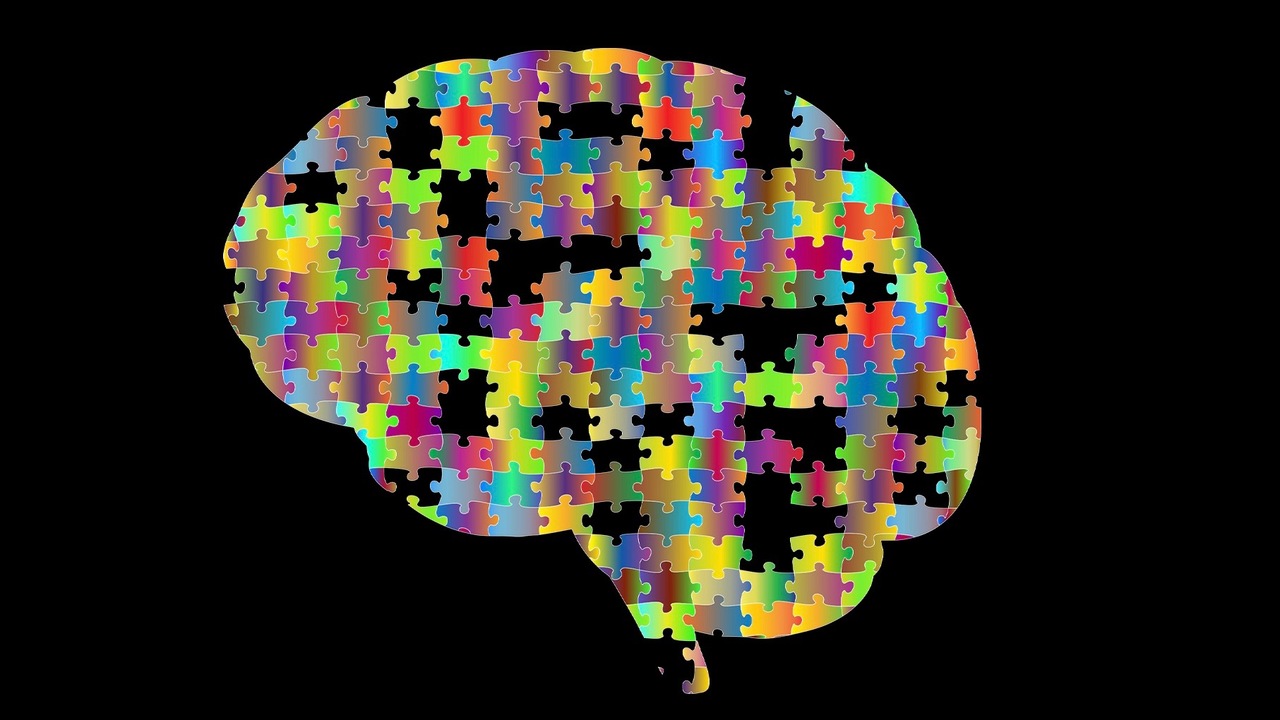 What's the difference between the mind, brain and education?