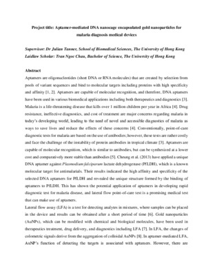 Aptamer-mediated DNA nanocage encapsulated gold nanoparticles for malaria diagnosis medical devices