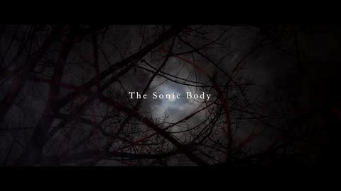 The Sonic Body - Laidlaw Video Essay