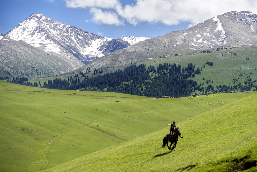 Networked Prejudices: A Summer 1 Summary