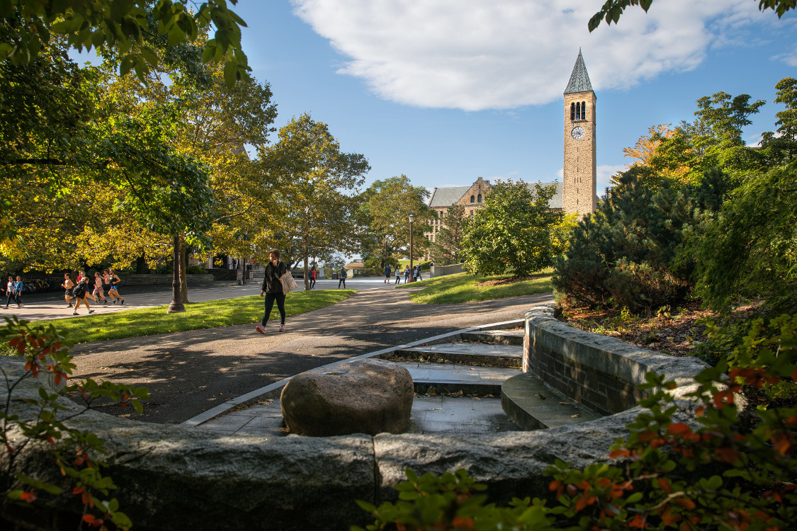Cornell University Joins the Laidlaw Research & Leadership Programme 