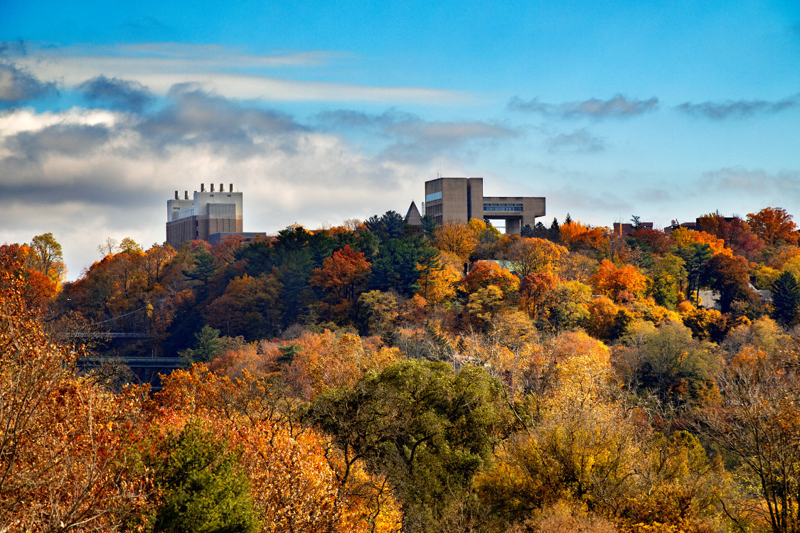 Help Cornell Promote the Scholarship! 