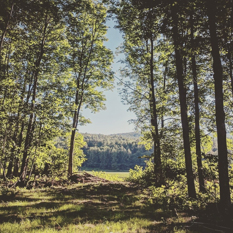 The “inconvenient truth” about AI in healthcare