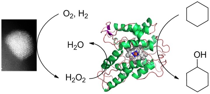 Crossing the Conditions Gap