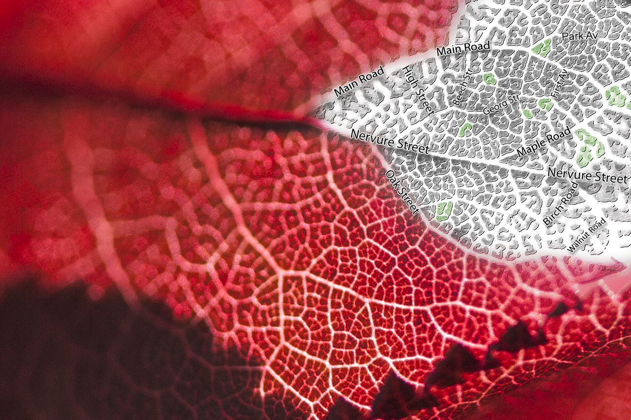 The human imprint on plant phenology