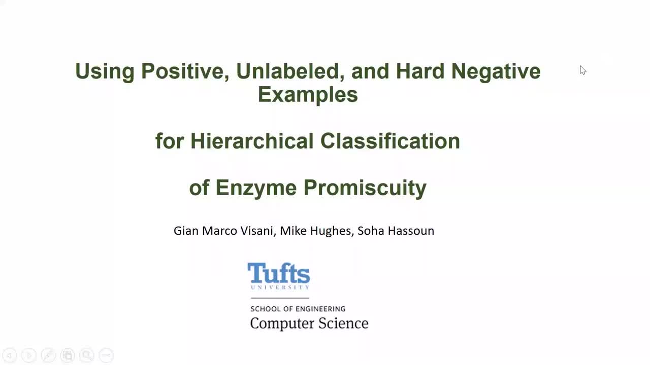 Using Positive, Unlabeled, and Hard Negative Examples for Hierarchical Classification of Enzyme Promiscuity - Gian Marco Visani