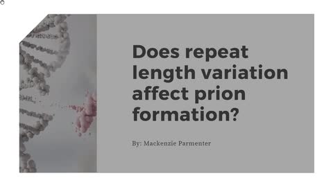 Does Repeat Length Variation Affect Prion Formation? - Mackenzie Parmenter
