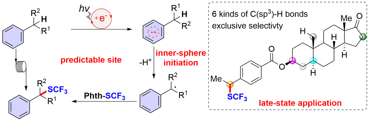 Late-Stage Trifluoromethylthiolation of Benzylic C-H Bonds