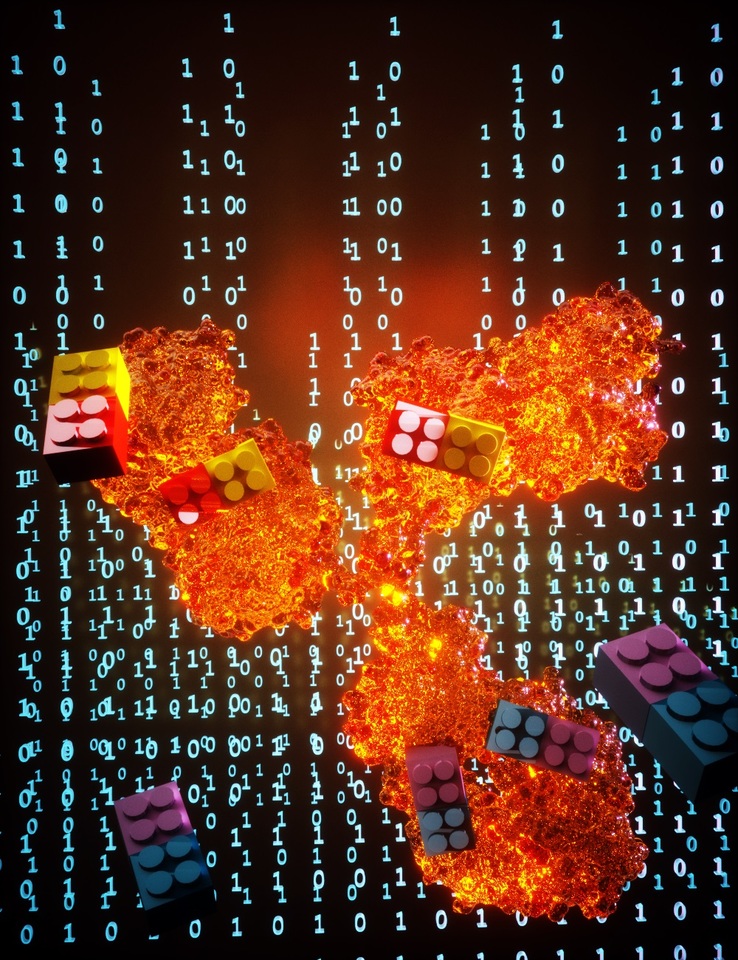 Better needn't be more complex: Simplifying antibody-drug conjugate (ADC) preparation
