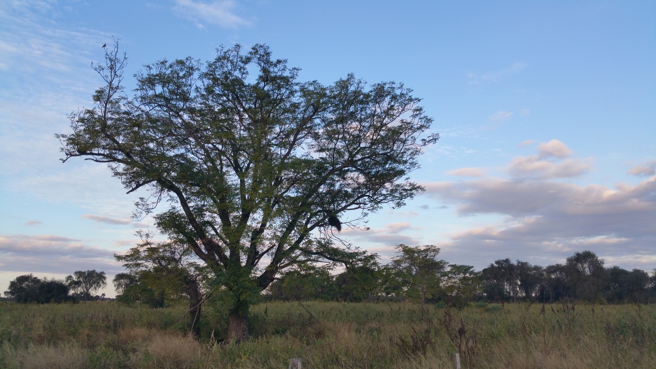 Follow the money: how the super-rich drive cropland expansion via direct investments in agriculture