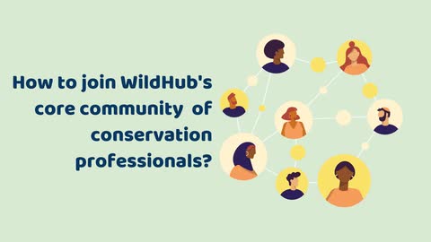 How to join our WildHub Core community