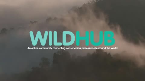 WildHub community 4000 members strong! 