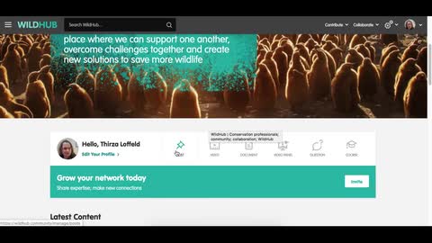 How to publish a post on WildHub
