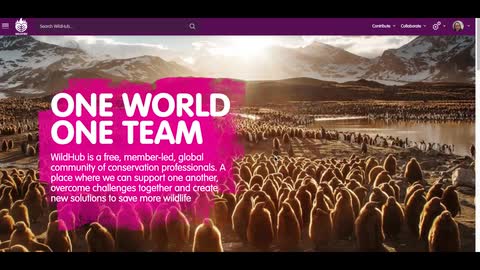 CBC committee - WildHub introduction