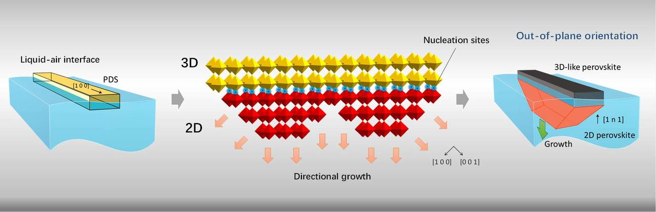 Oriented Quasi-2D Hybrid Perovskite Grow on 3D-like Perovskite Surface