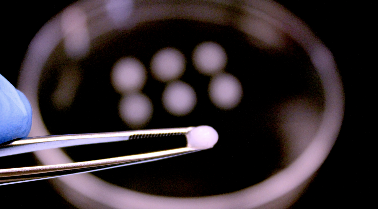 A cryogel vaccine against acute myeloid leukemia