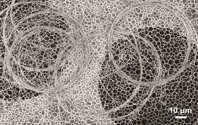 Silicon-based electrical nanocables available at high-temperature, acidic and oxidizing environment