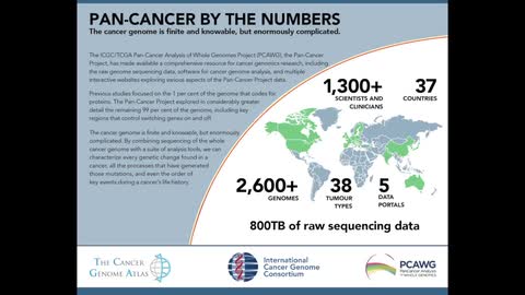 ICGC-TCGA Pan-Cancer Analysis of Whole Genomes Project (PCAWG)