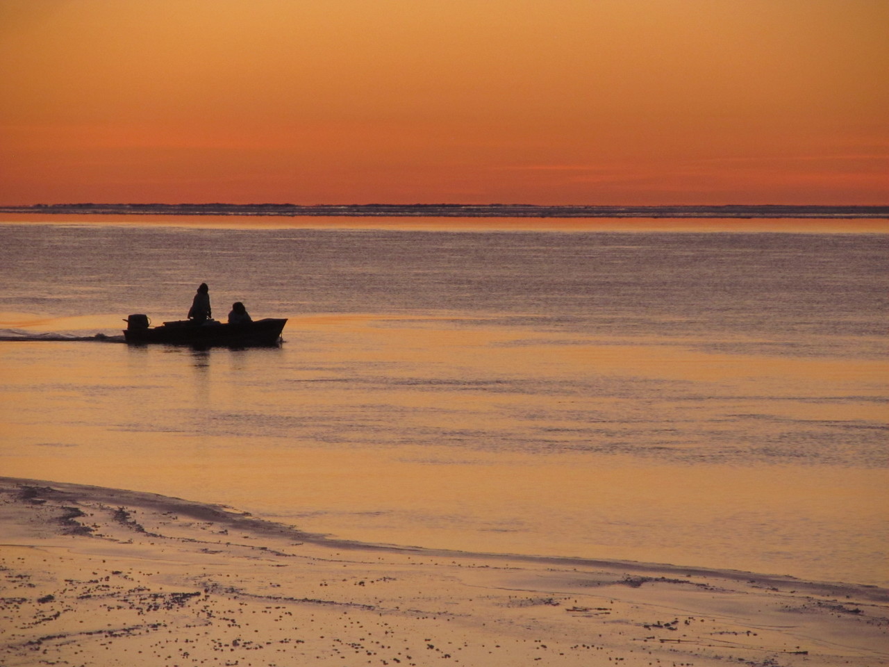 How strange can things get in the Arctic?