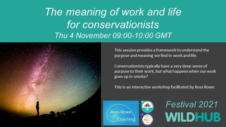 WildHub Festival 4/11: The meaning of work and life 