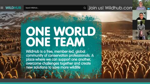 WildHub Festival recording: Communicating with emotional intelligence
