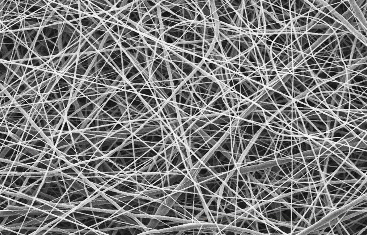 Developing a novel biphasic barrier membrane for guided tissue