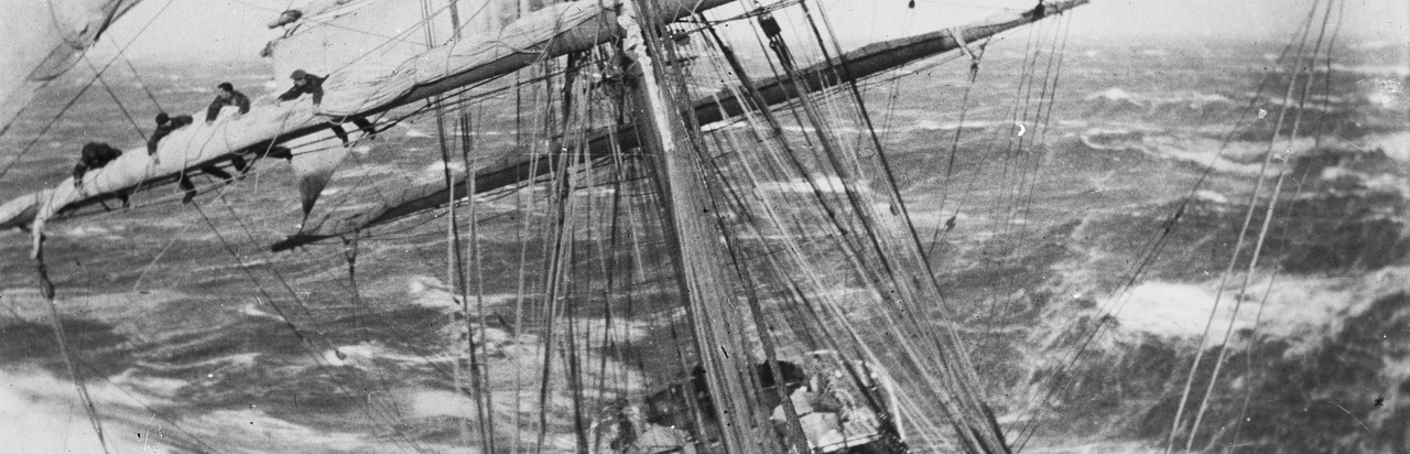 Batten down the hatches: biofilms respond to the storm